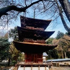 徳源院（清滝寺）
