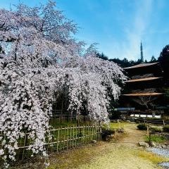 徳源院（清滝寺）