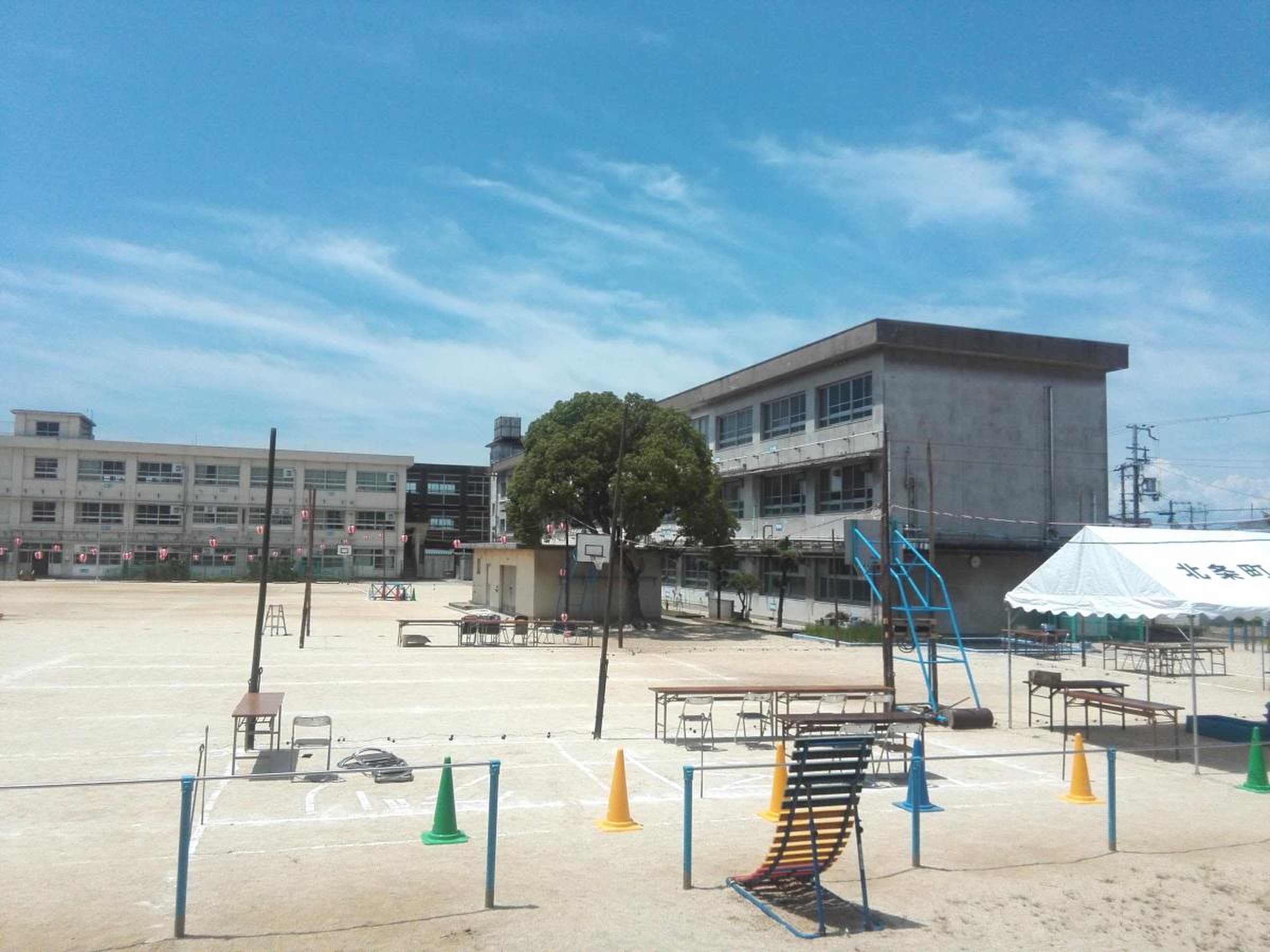堺 市立 向丘 小学校