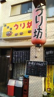 うり坊