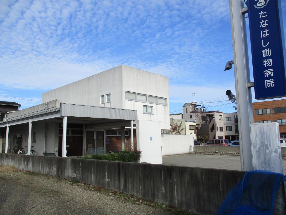 建物