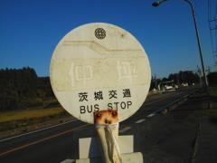 「仲坪」バス停留所