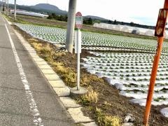 「多那公民館前」バス停留所