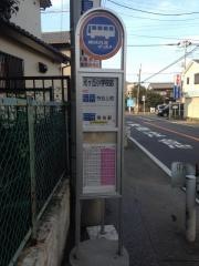 「光ヶ丘小学校前」バス停留所