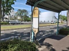 「桜美林学園」バス停留所