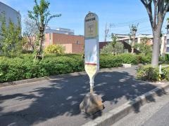 「桜美林学園」バス停留所