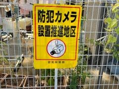 輪楽笑ＩＩ