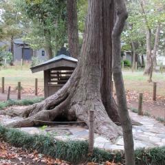 若狭山ノ神神社