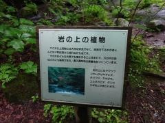 三乱の流れ