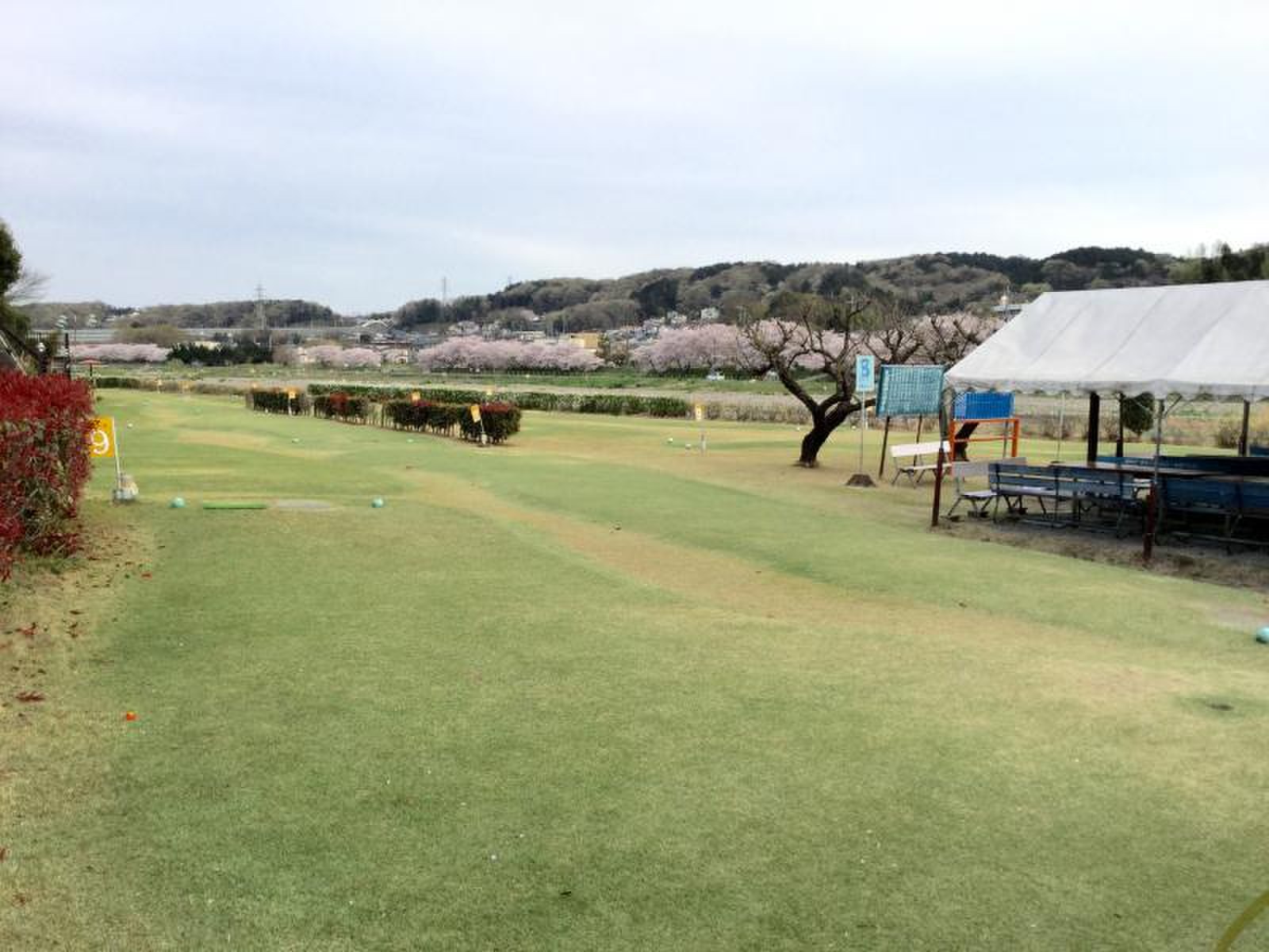 野田 河川 公園