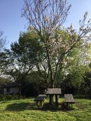 南太田四丁目公園