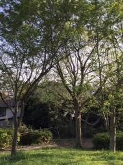 南太田四丁目公園