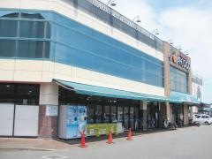 ザ・ダイソー　Ａコープ紀南アピア店