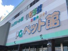 ＤＣＭ　東バイパス店
