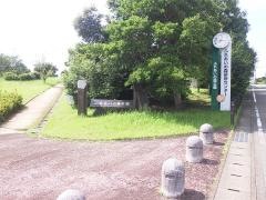ふれあいの森公園