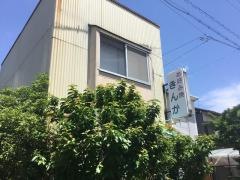 お好みきんか
