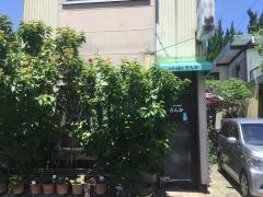 お好みきんか