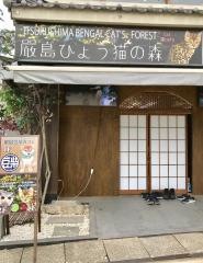 厳島ひょう猫の森