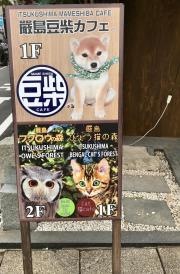 厳島ひょう猫の森