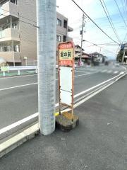 「宮の前(三島市)」バス停留所