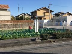 「本田団地北」バス停留所