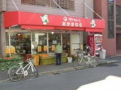ママチェーンおがさわら