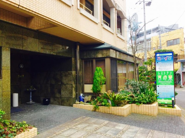かいごの花みずき