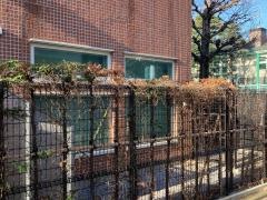 みらいく田園調布本町園