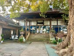妙蓮寺