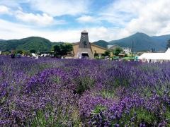河口湖自然生活館