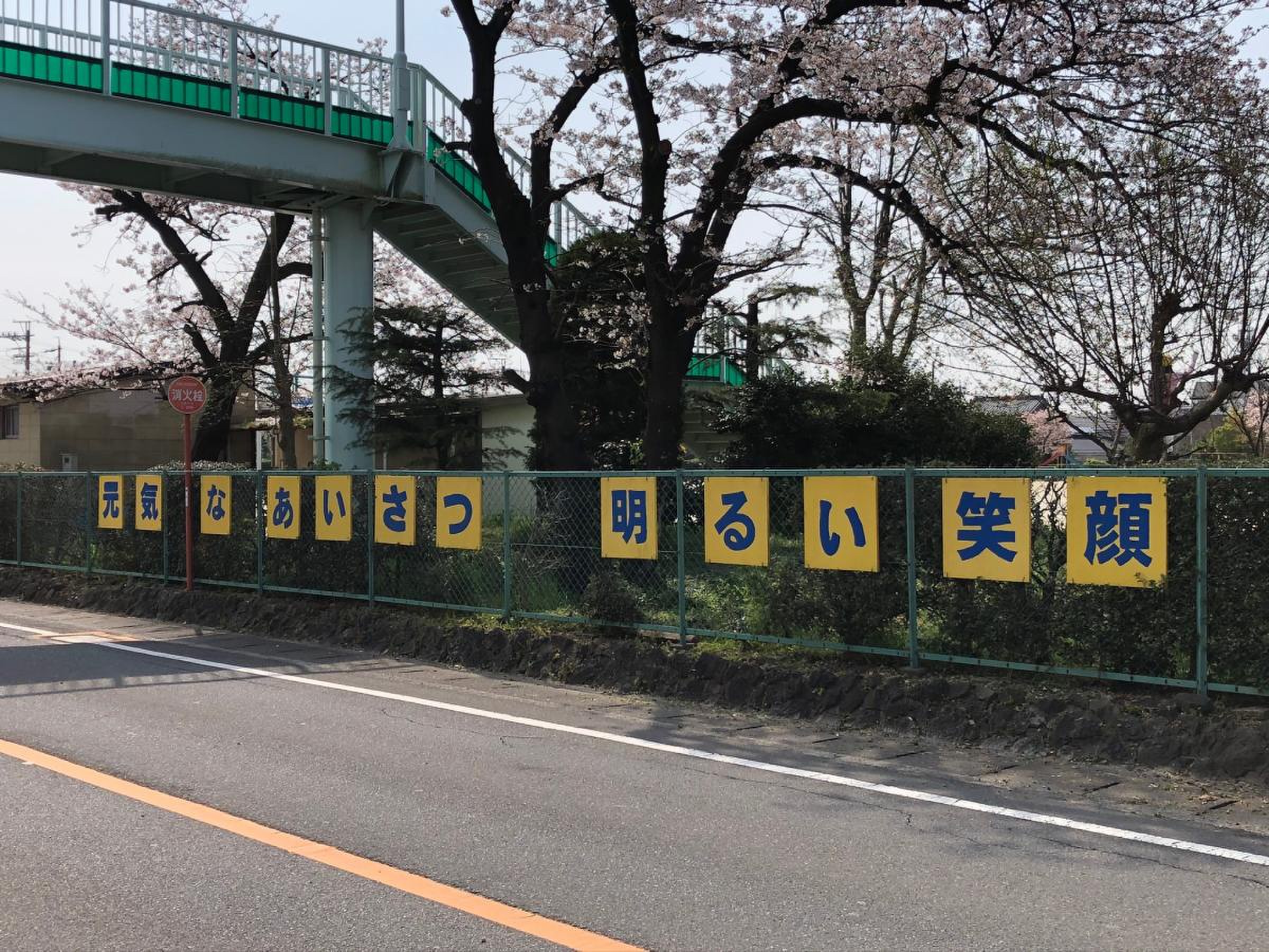 富 木島 小学校
