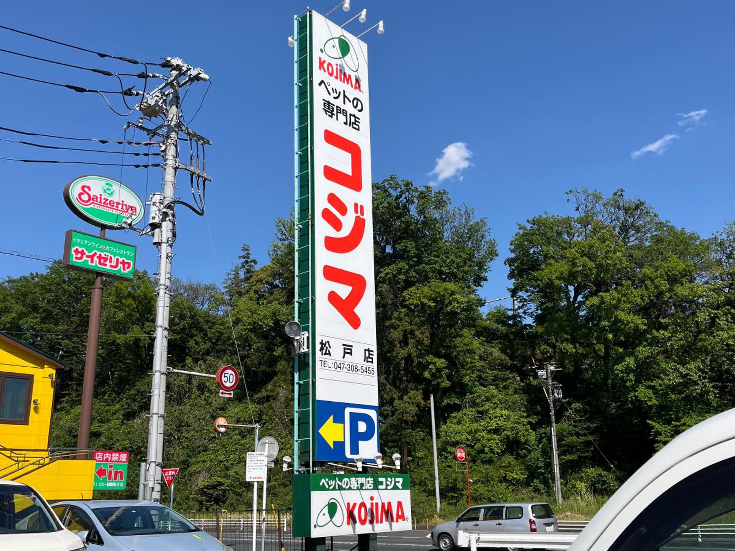 当時のメディア報道・掲載写真