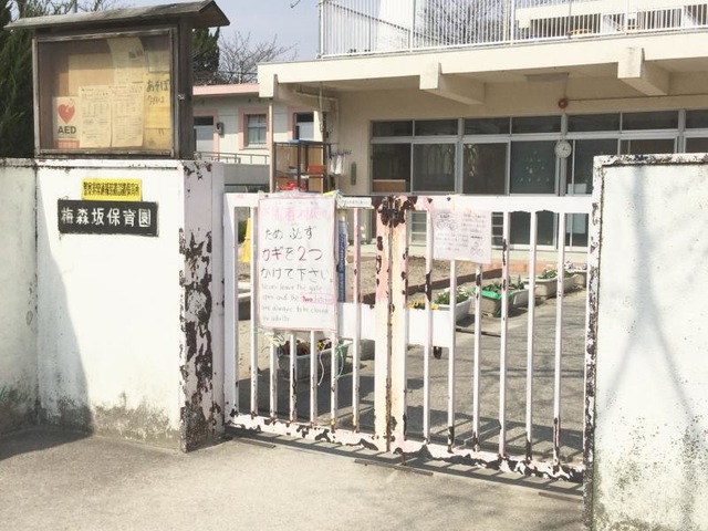 投稿写真4