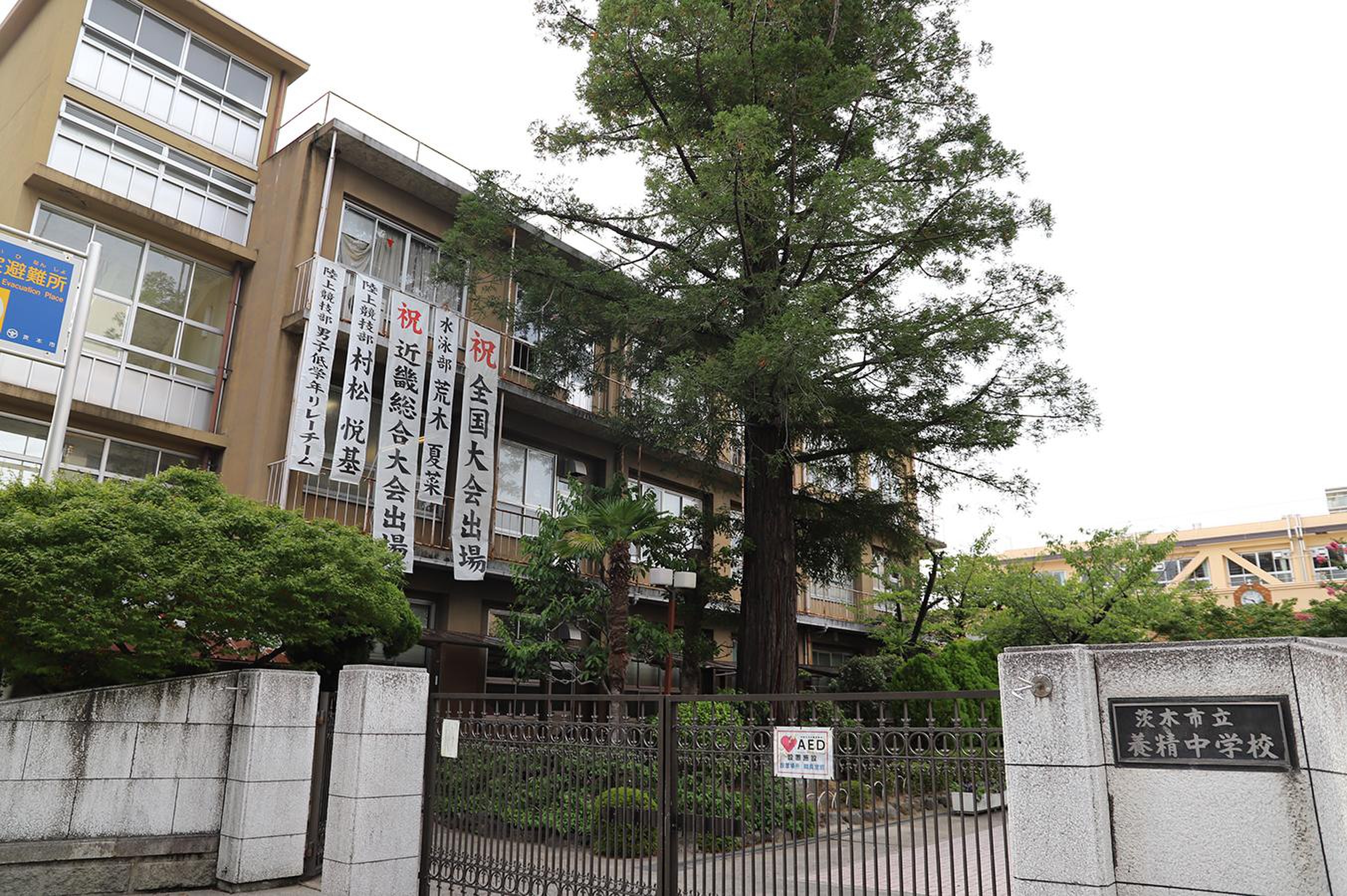 活動歴および当時の関連ビジュアル記録