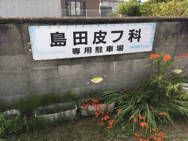 投稿写真2