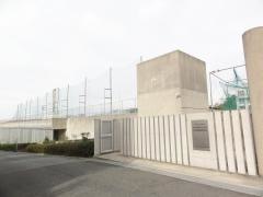 私立神戸国際中学校