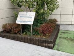 やまうち内科クリニック