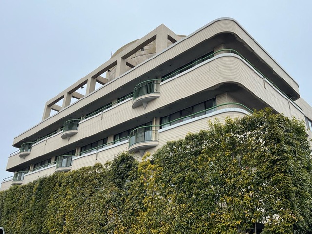 洋光台バラ苑