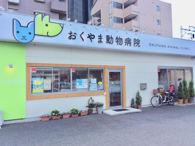 投稿写真1