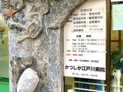 かつしか江戸川病院