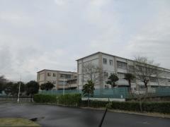 柳島小学校