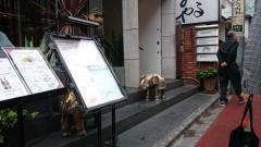 インド料理ゴングル