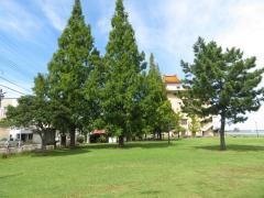 東郷湖畔公園