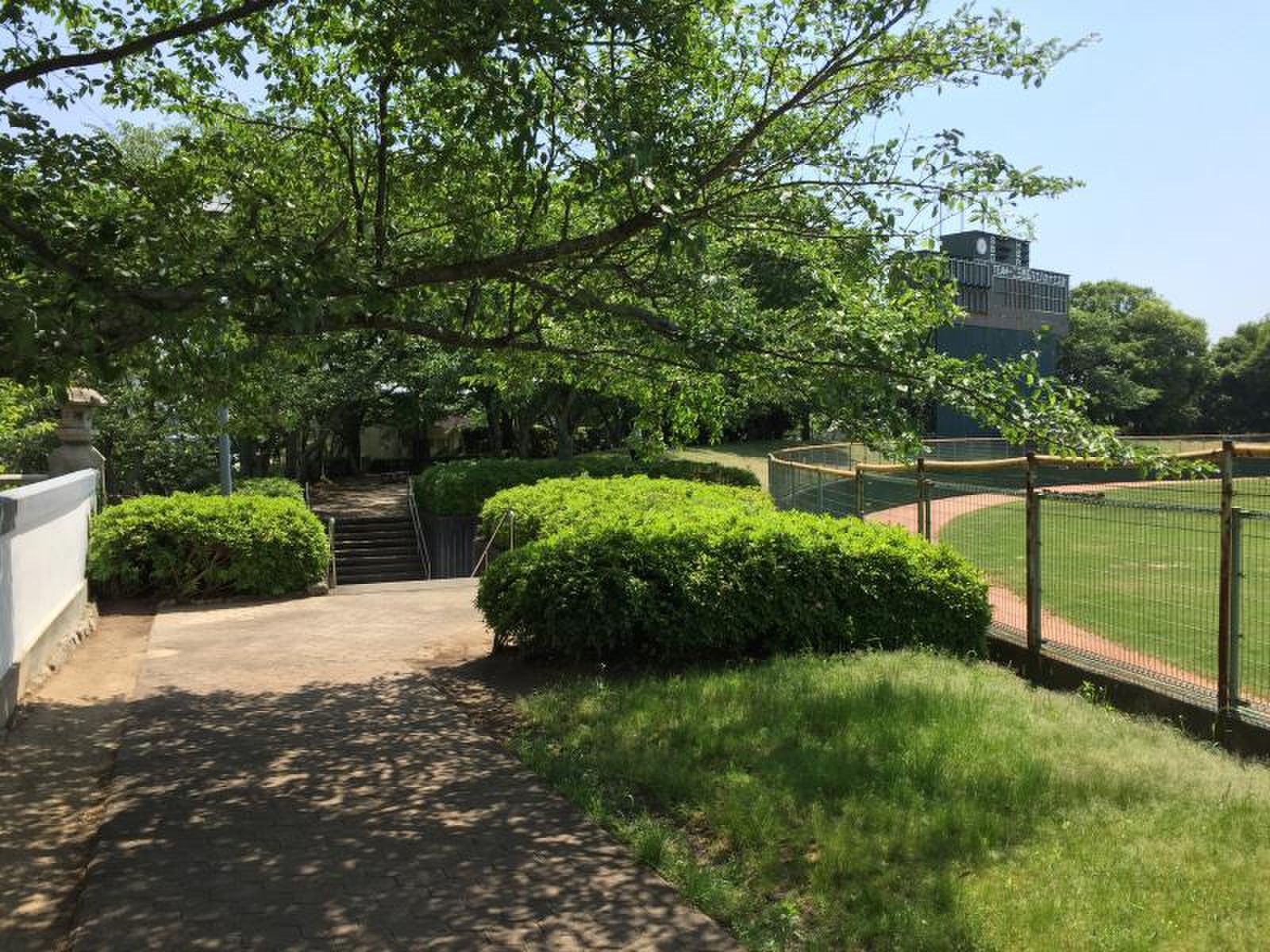 御 建 公園 野球 場