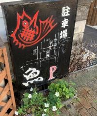 白梅