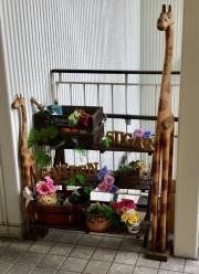 ＳｕｇａｒＧａｒｄｅｎ