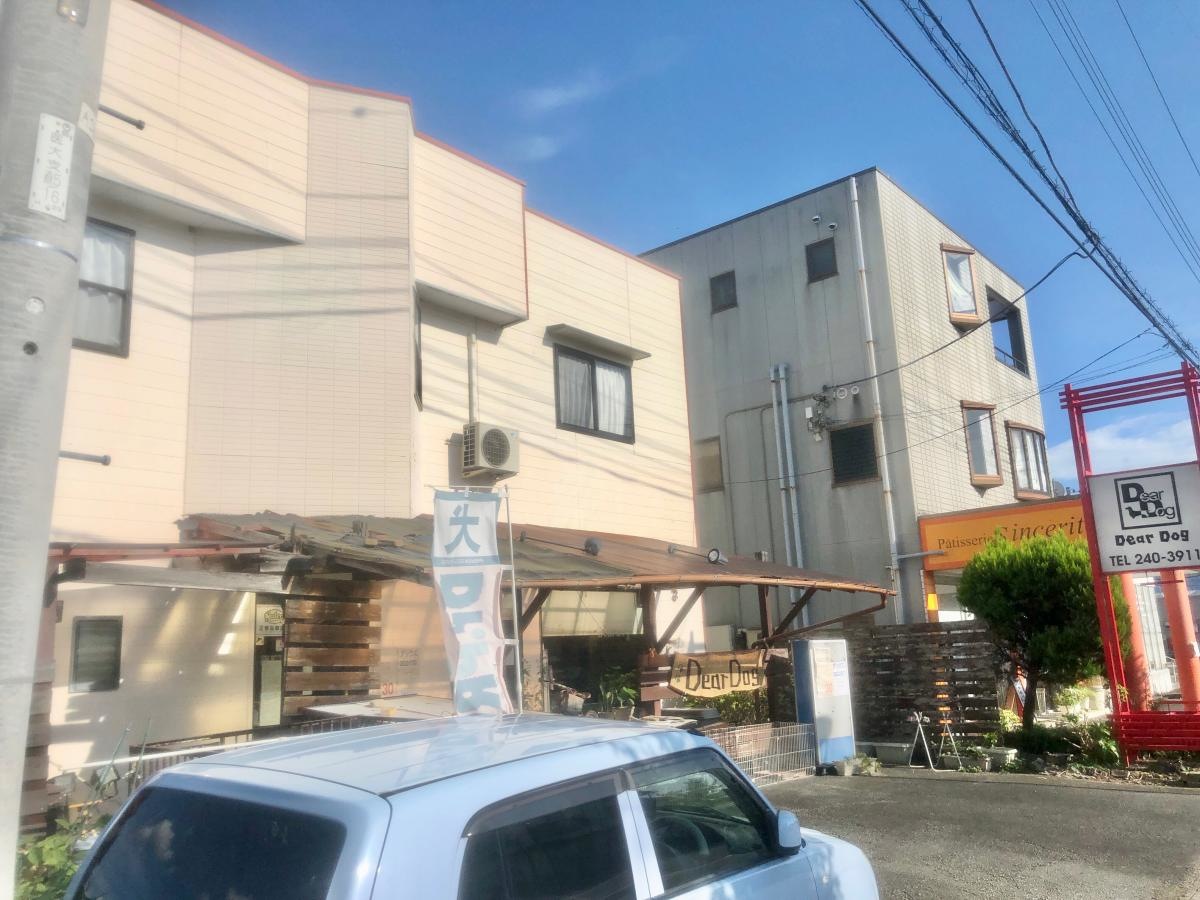 ディアドッグ