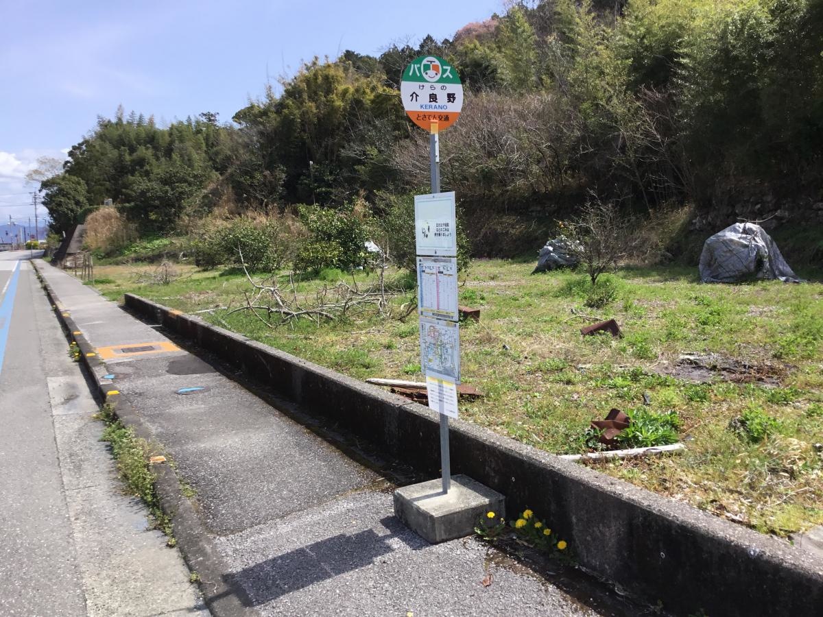 全景です。