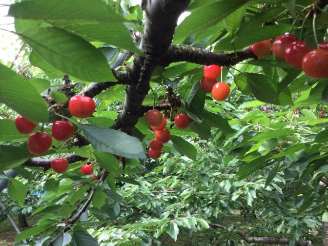 施設写真14