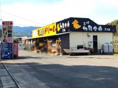 琴海花野果ドリーム